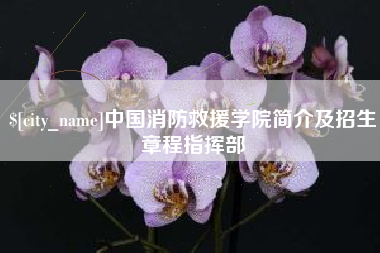 弥勒中国消防救援学院简介及招生章程指挥部