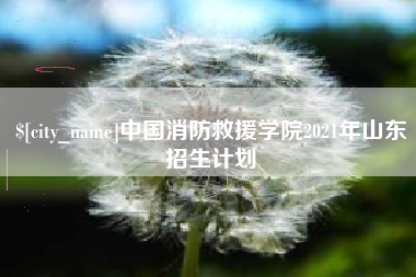 弥勒中国消防救援学院2021年山东招生计划