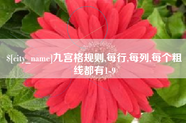 弥勒九宫格规则,每行,每列,每个粗线都有1-9