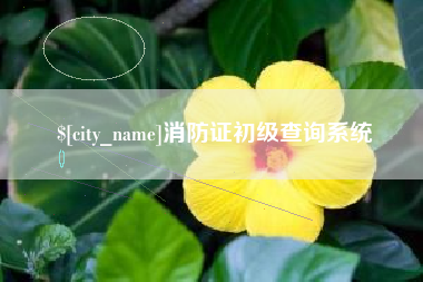 弥勒消防证初级查询系统