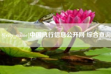 弥勒中国执行信息公开网 综合查询
