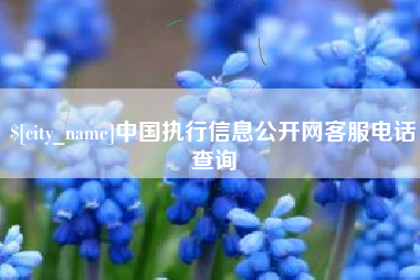 弥勒中国执行信息公开网客服电话查询