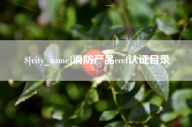 弥勒消防产品cccf认证目录