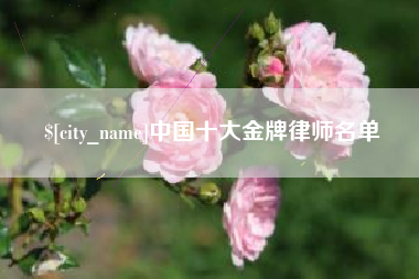 弥勒中国十大金牌律师名单