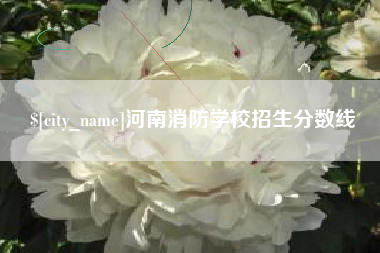 弥勒河南消防学校招生分数线