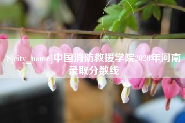 弥勒中国消防救援学院2020年河南录取分数线