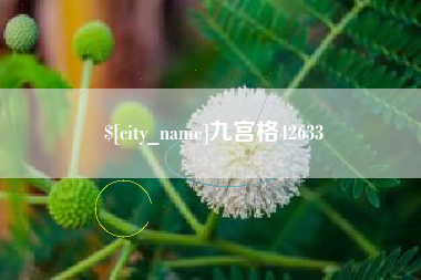 弥勒九宫格42633