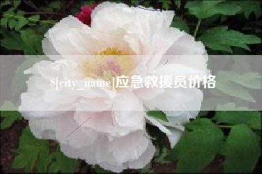 弥勒应急救援员价格
