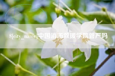 弥勒中国消防救援学院管严吗