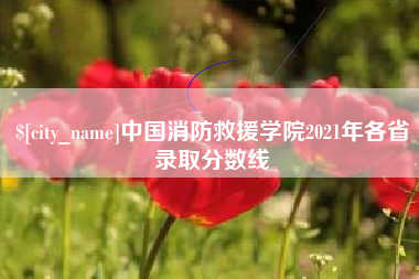 弥勒中国消防救援学院2021年各省录取分数线