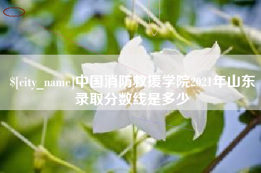 弥勒中国消防救援学院2021年山东录取分数线是多少