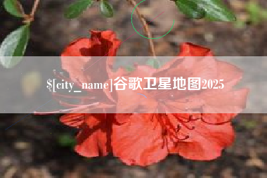 弥勒谷歌卫星地图2025