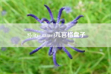 弥勒九宫格盘子