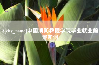 弥勒中国消防救援学院毕业就业前景如何