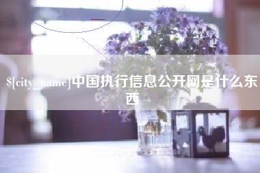 弥勒中国执行信息公开网是什么东西