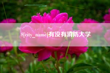 弥勒有没有消防大学