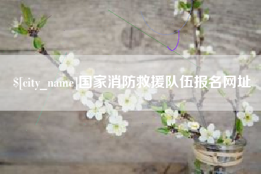弥勒国家消防救援队伍报名网址