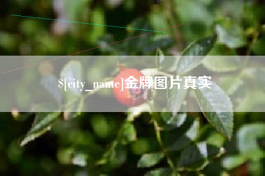 弥勒金牌图片真实