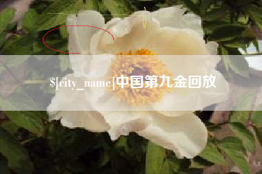 弥勒中国第九金回放