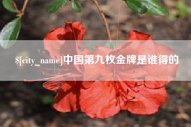 弥勒中国第九枚金牌是谁得的