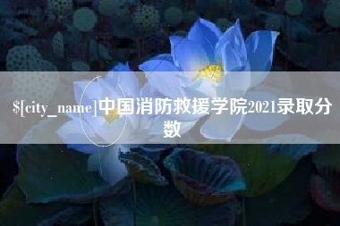 弥勒中国消防救援学院2021录取分数