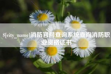 弥勒消防官网查询系统查询消防职业资格证书