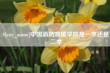 弥勒中国消防救援学院是一本还是二本