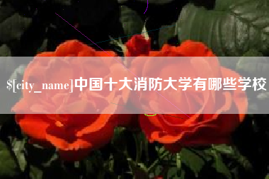 弥勒中国十大消防大学有哪些学校
