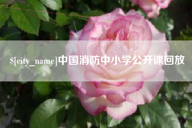 弥勒中国消防中小学公开课回放