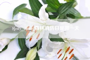 弥勒森林消防日是哪一天
