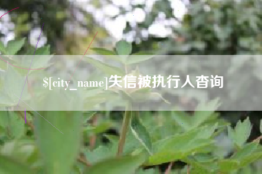 弥勒失信被执行人杳询