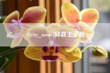 弥勒邱县王子磊