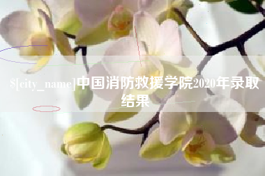 弥勒中国消防救援学院2020年录取结果