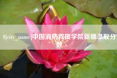 弥勒中国消防救援学院新疆录取分数