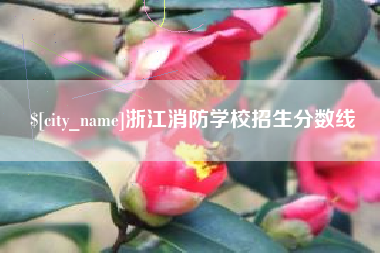弥勒浙江消防学校招生分数线