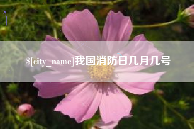 弥勒我国消防日几月几号