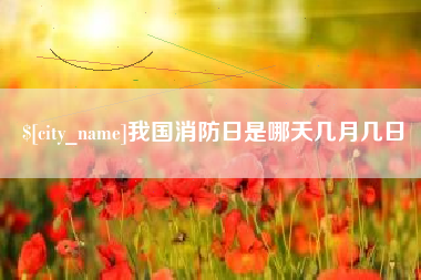 弥勒我国消防日是哪天几月几日