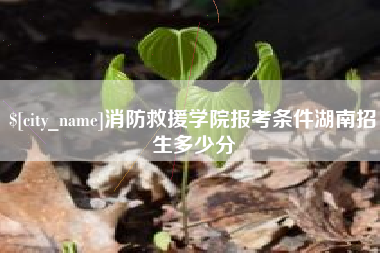 弥勒消防救援学院报考条件湖南招生多少分