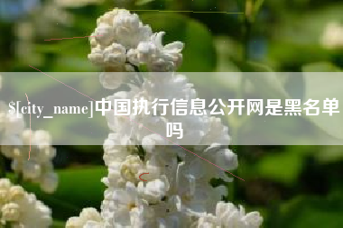 弥勒中国执行信息公开网是黑名单吗
