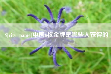 弥勒中国6枚金牌是哪些人获得的