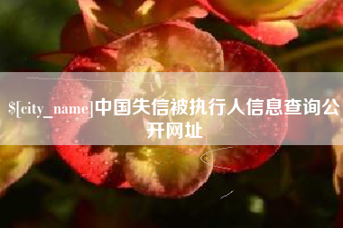 弥勒中国失信被执行人信息查询公开网址