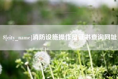 弥勒消防设施操作员证书查询网址