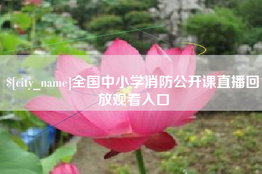 弥勒全国中小学消防公开课直播回放观看入口