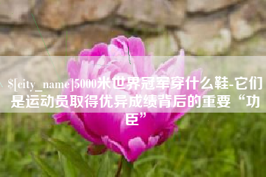 弥勒5000米世界冠军穿什么鞋-它们是运动员取得优异成绩背后的重要“功臣”