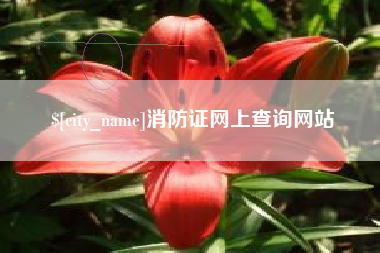 弥勒消防证网上查询网站