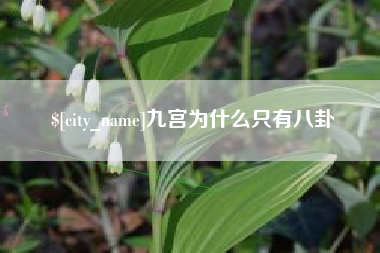 弥勒九宫为什么只有八卦
