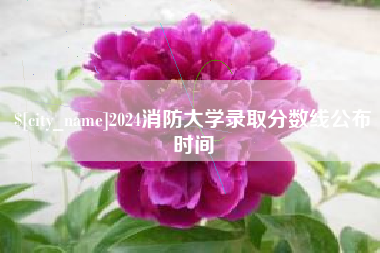 弥勒2024消防大学录取分数线公布时间