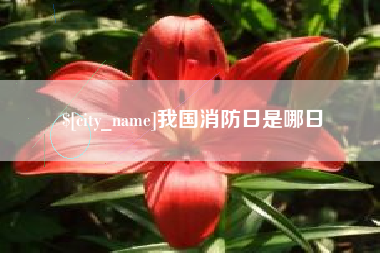 弥勒我国消防日是哪日