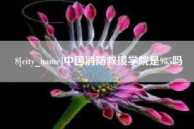 弥勒中国消防救援学院是985吗