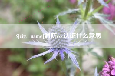 弥勒消防ccc认证什么意思